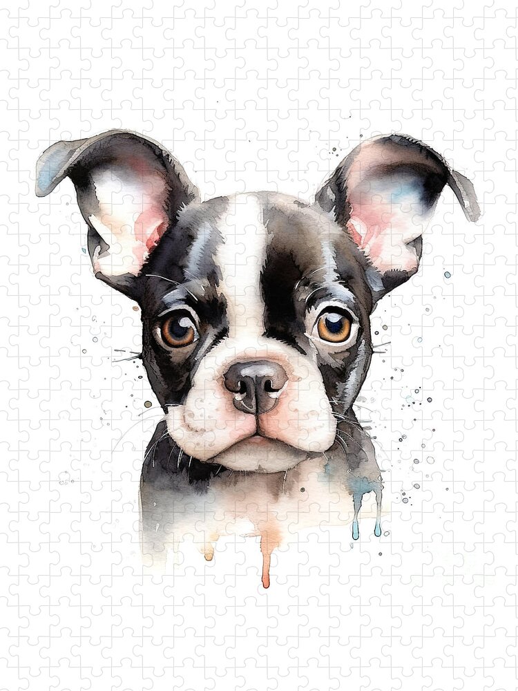 https://render.fineartamerica.com/images/rendered/default/flat/puzzle/images/artworkimages/medium/3/boston-terrier-puppy-stylized-watercolour-digital-illustration-of-a-cute-dog-with-big-eyes-digital-illus-jane-rix.jpg?&targetx=0&targety=125&imagewidth=750&imageheight=750&modelwidth=750&modelheight=1000&backgroundcolor=ffffff&orientation=1&producttype=puzzle-18-24&brightness=765&v=6