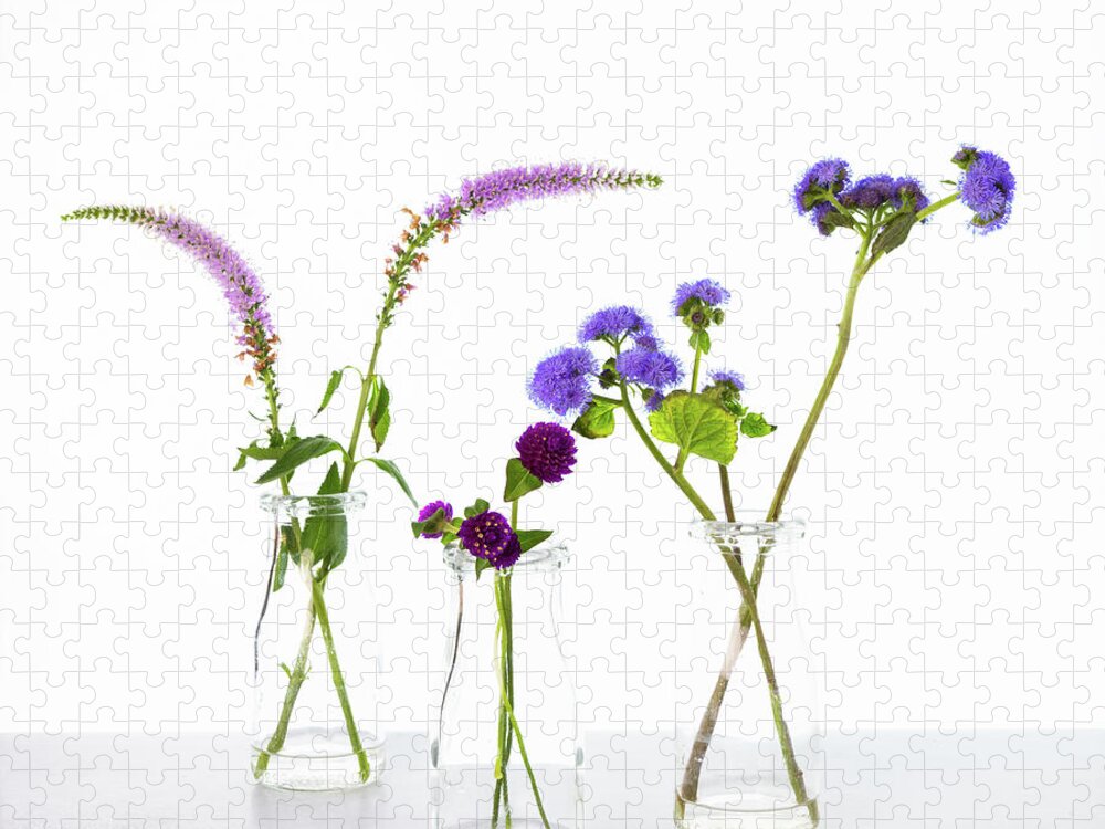 Botanical Jigsaw Puzzle featuring the photograph Botanicals 8 by Connie Carr