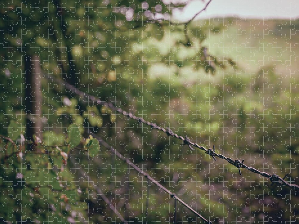 Barbedwire Jigsaw Puzzle featuring the photograph Boundaries by Gavin Lewis