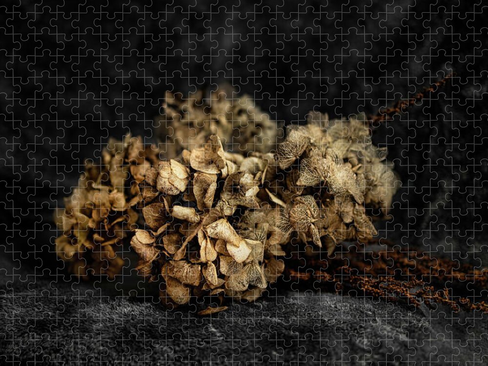 Bouguet Jigsaw Puzzle featuring the photograph Bouquet of dried hydrangea flowers by MPhotographer