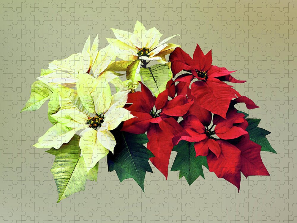Flower Jigsaw Puzzle featuring the photograph Bouquet of Red and Yellow Poinsettia by Susan Savad