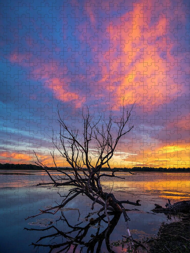 Waterscape Jigsaw Puzzle featuring the photograph Branching Out by Mark Papke