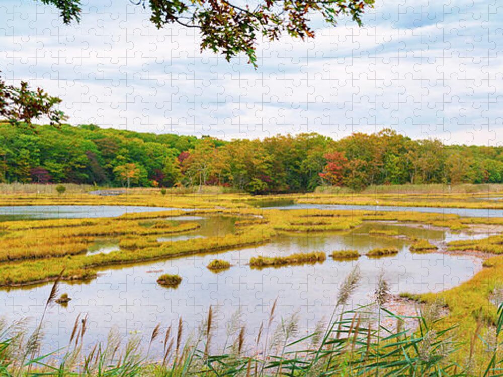 Bride Brook Salt Marsh Jigsaw Puzzle featuring the photograph Bride Brook Salt Marsh Panorama I by Marianne Campolongo