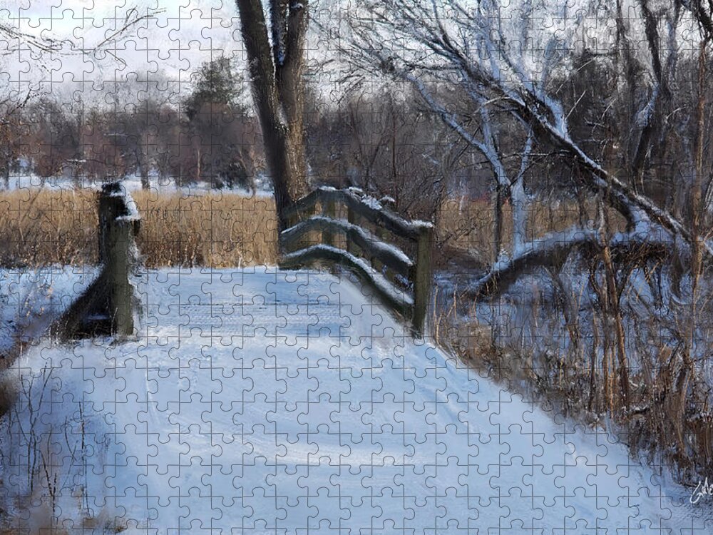 Minneapolis Jigsaw Puzzle featuring the digital art Bridge at Lake Nokomis by Glenn Galen
