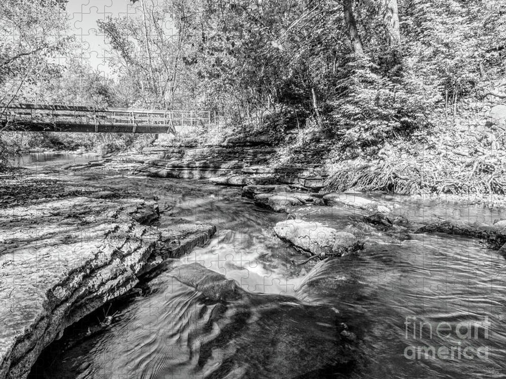 Tanyard Creek Nature Trail Jigsaw Puzzle featuring the photograph Bridge Over Tanyard Creek Grayscale by Jennifer White