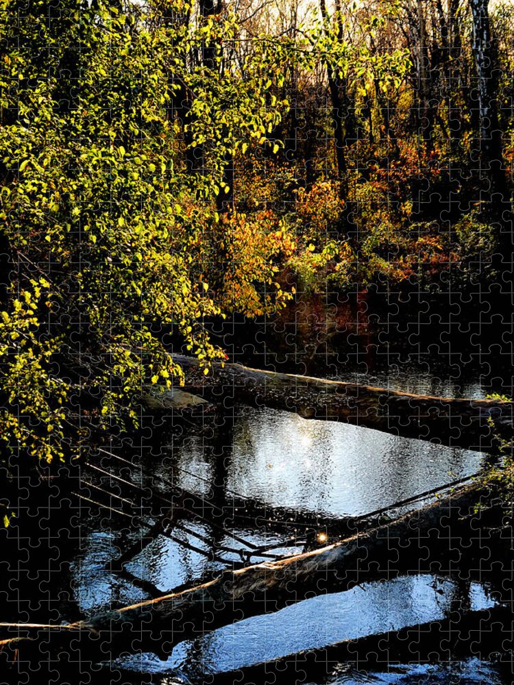 Tranquil Jigsaw Puzzle featuring the photograph Broad Run Autumn No. 1 by Steve Ember