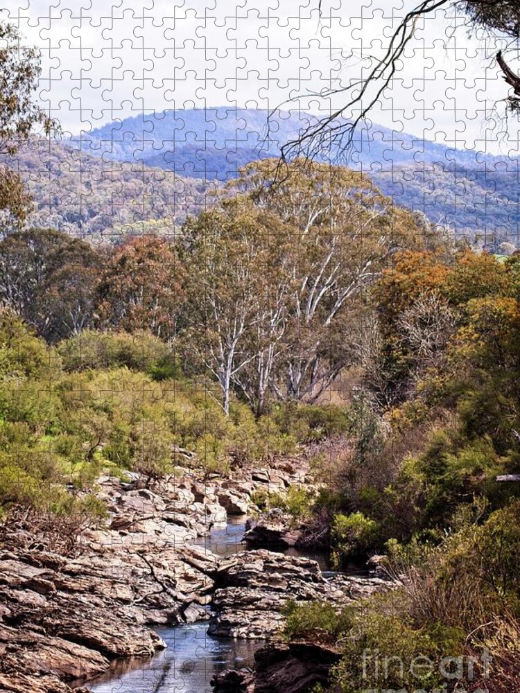 River Jigsaw Puzzle featuring the photograph Buffalo River by Linda Lees