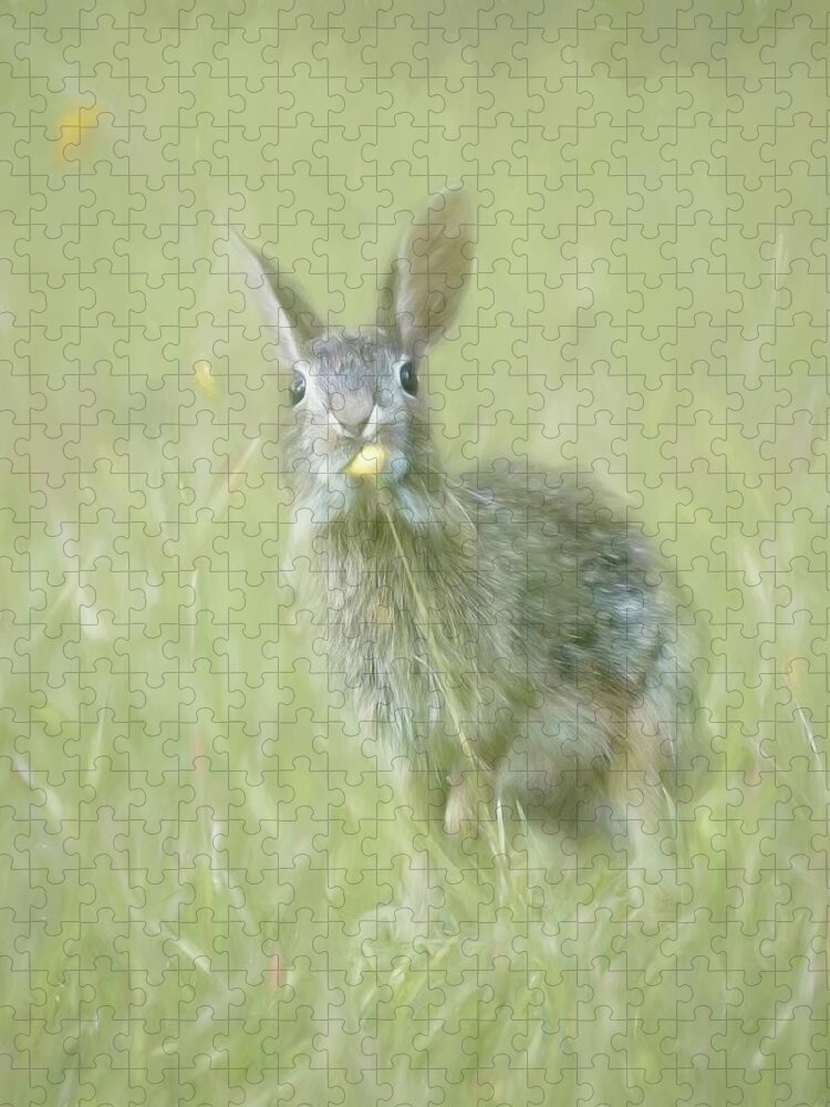 Bunny Jigsaw Puzzle featuring the photograph Bunny and Dandelion by Marjorie Whitley
