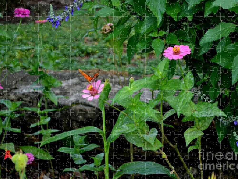 Butterfly Photograph Jigsaw Puzzle featuring the photograph Butterfly Garden by Expressions By Stephanie