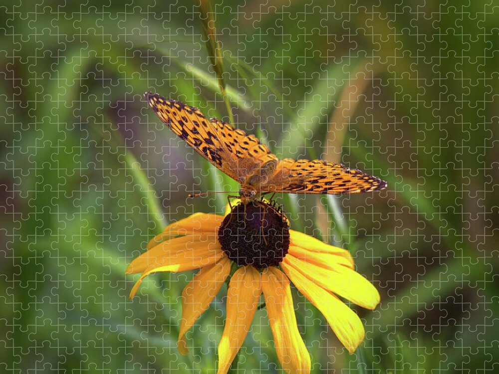 Butterfly Jigsaw Puzzle featuring the photograph Butterfly on Flower by Bob Falcone