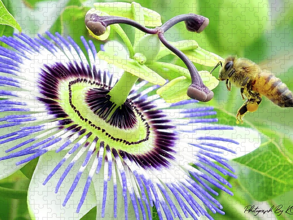 Passion Flower Jigsaw Puzzle featuring the digital art Buzzing around 01 by Kevin Chippindall