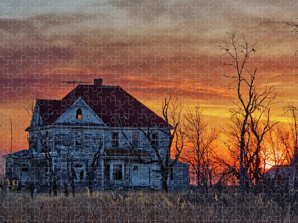 Abandoned Jigsaw Puzzle featuring the photograph Byegone - abandoned rural ND farm home by Peter Herman