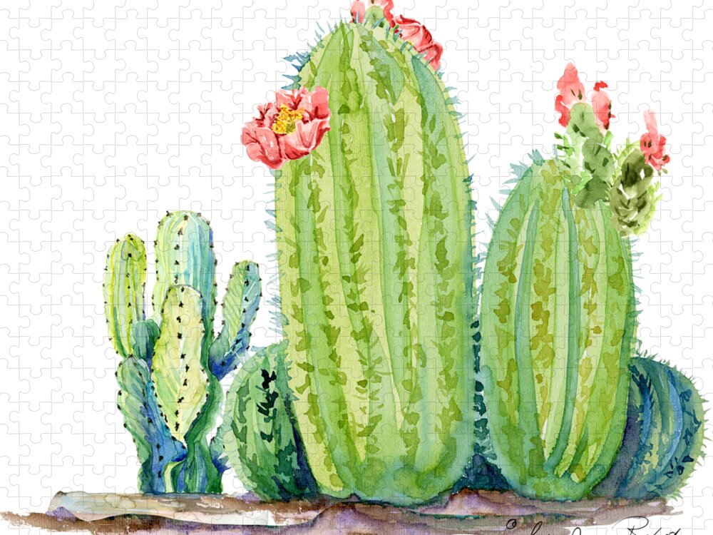 Succulent Garden Cactus Watercolor Art Painting Kit For Beginners Easy DIY  Paint by Number — Pink Puddle Studio