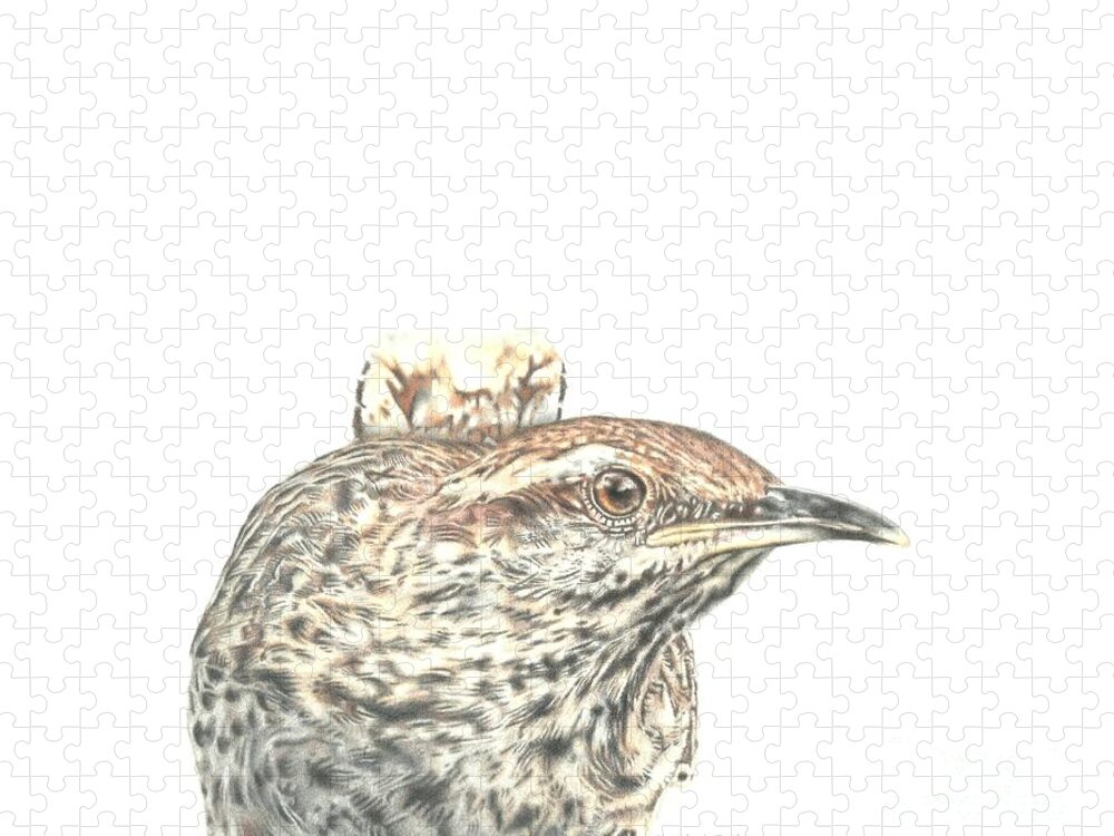 Cactus Wren Jigsaw Puzzle featuring the drawing Cactus Wren by Karrie J Butler