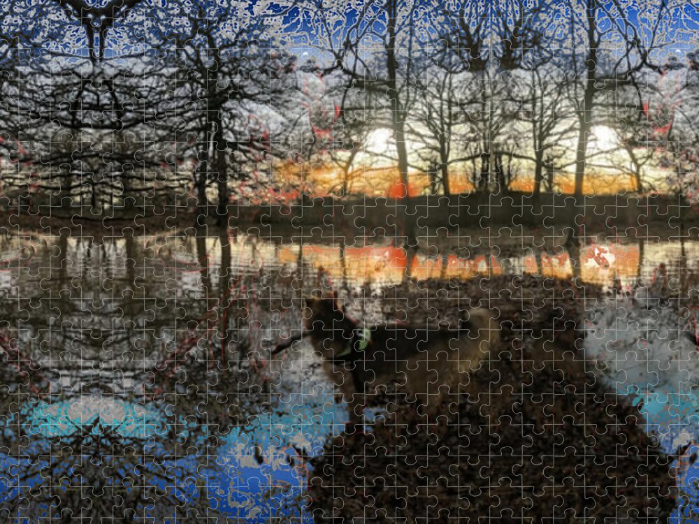 Abbie Contest Jigsaw Puzzle featuring the digital art Call of the Loon by David Zimmerman