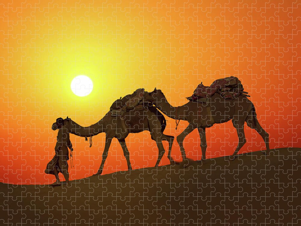 Camel Jigsaw Puzzle featuring the photograph Cameleerand Camels - Silhouette Against Sunset by Mikhail Kokhanchikov