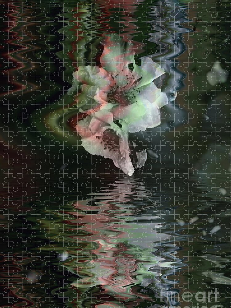 Camellia Jigsaw Puzzle featuring the photograph Camellia Immersed by Elaine Teague