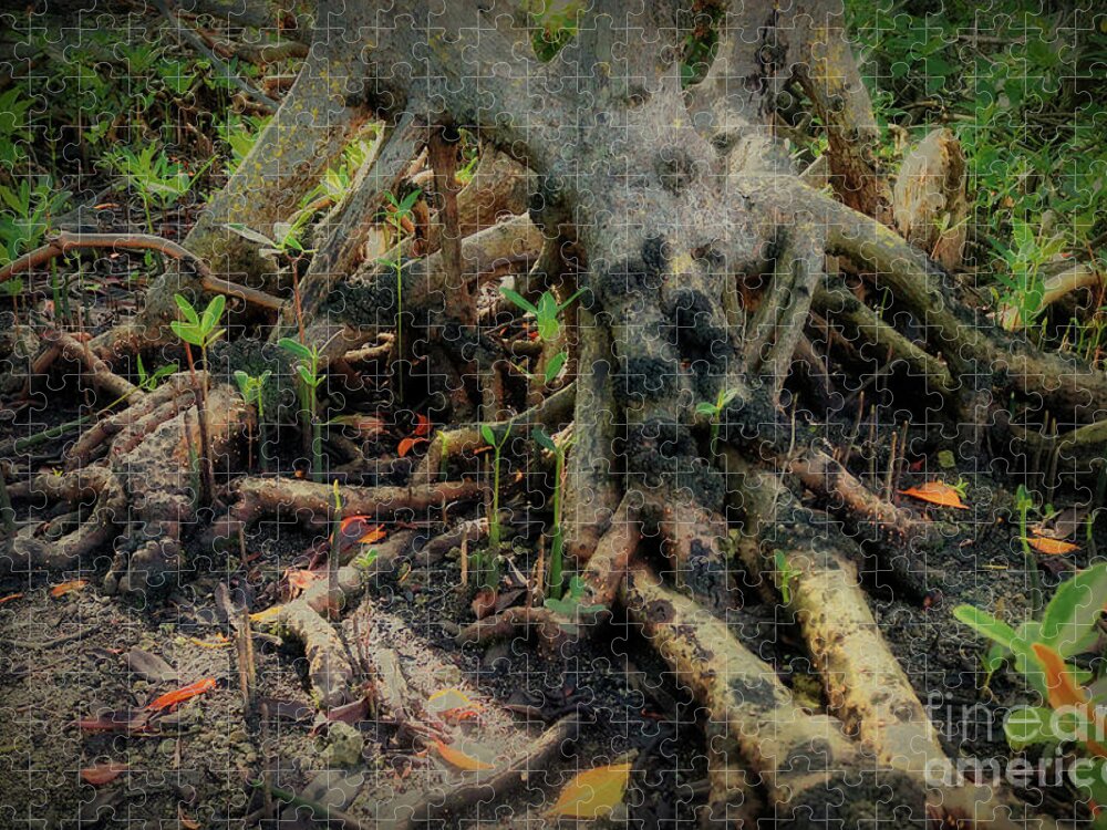 Winter Jigsaw Puzzle featuring the photograph Can You See the Spooky Face in this Forest  by Doc Braham