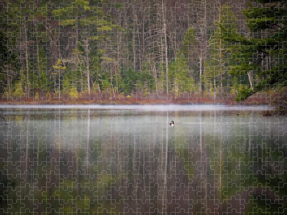 Nature Jigsaw Puzzle featuring the photograph Canada Goose on a Misty Swift River Morning by William Dickman