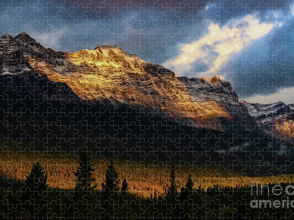 Landscape Jigsaw Puzzle featuring the photograph Canadian Gold by Seth Betterly