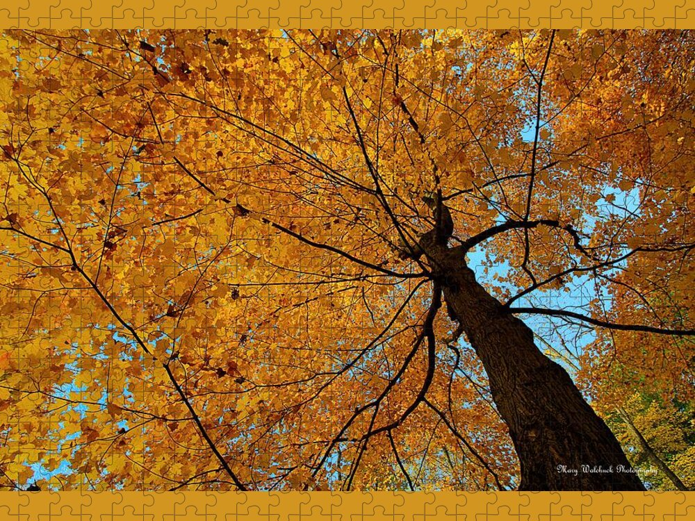 Autumn Leaves Jigsaw Puzzle featuring the photograph Canopy of Color by Mary Walchuck