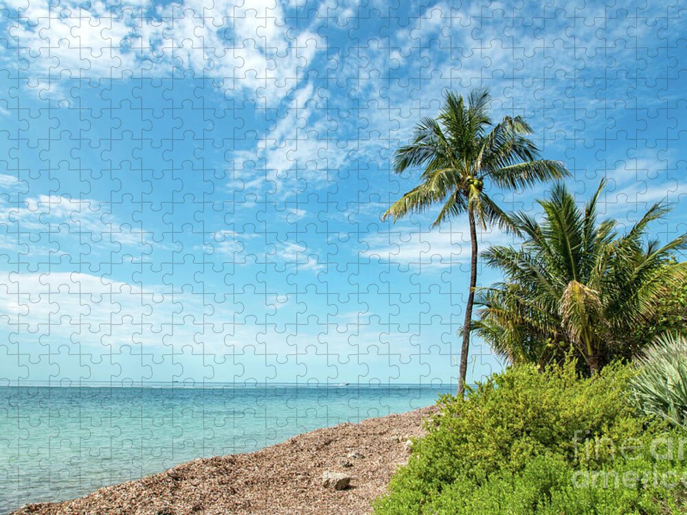 Palm Jigsaw Puzzle featuring the photograph Cape Florida Beach by Beachtown Views