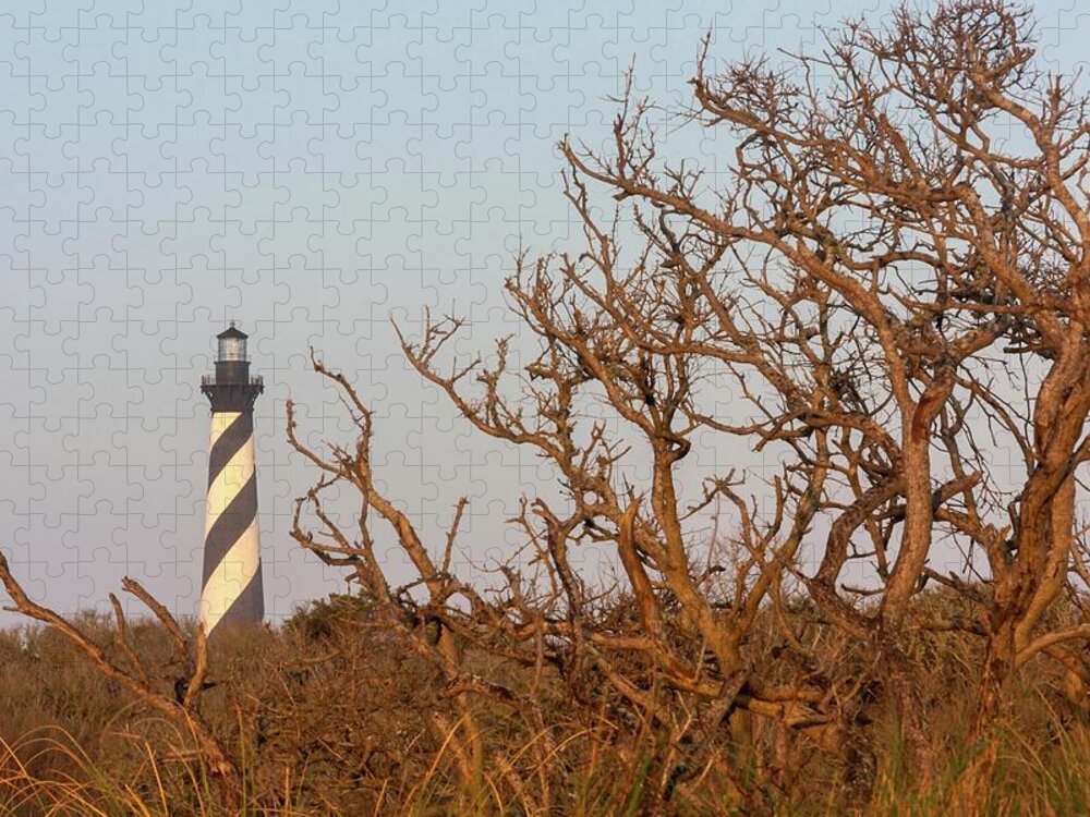 Architecture Jigsaw Puzzle featuring the photograph Cape Hatteras Lighthouse Through the Brush by Liza Eckardt