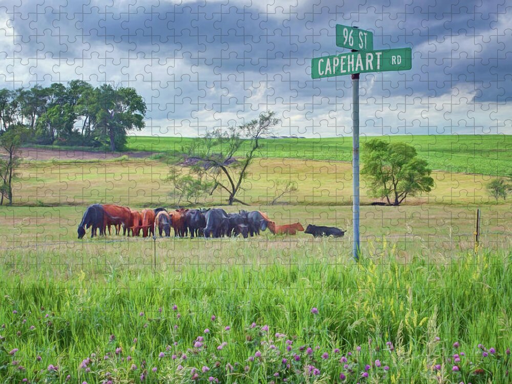Rural Jigsaw Puzzle featuring the photograph Capehart and 96 St - Nebraska by Nikolyn McDonald
