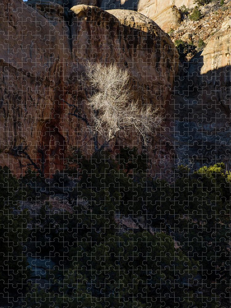 Young Jigsaw Puzzle featuring the photograph Capitol Reef National Park by David L Moore