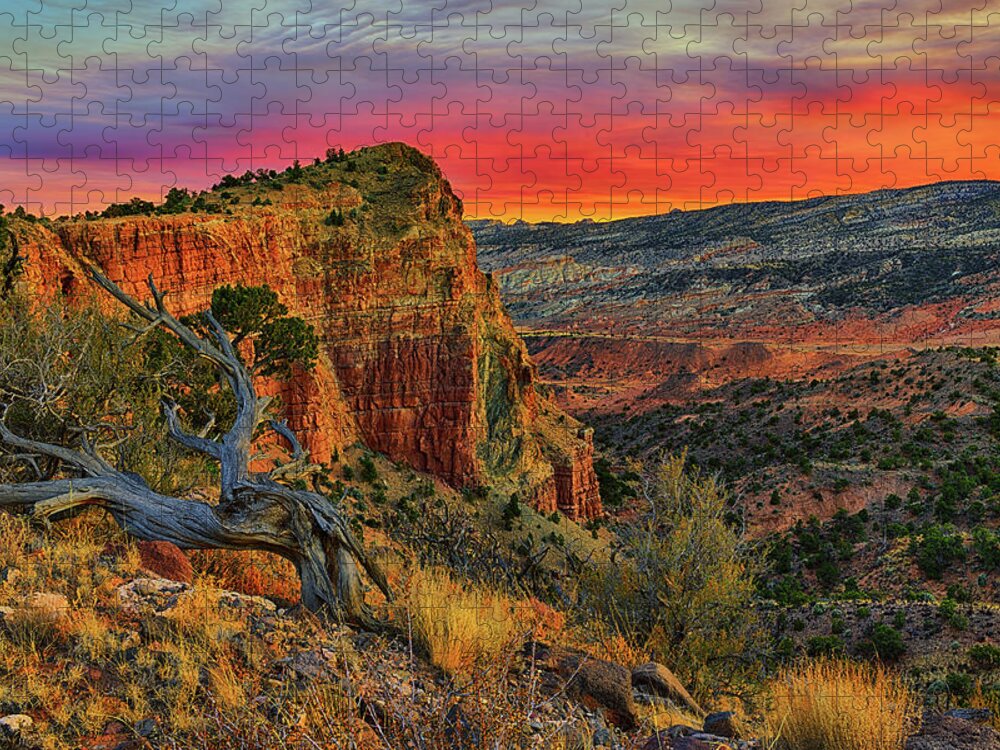 Capitol Reef National Park Jigsaw Puzzle featuring the photograph Capitol Reef South Desert Sunset by Greg Norrell