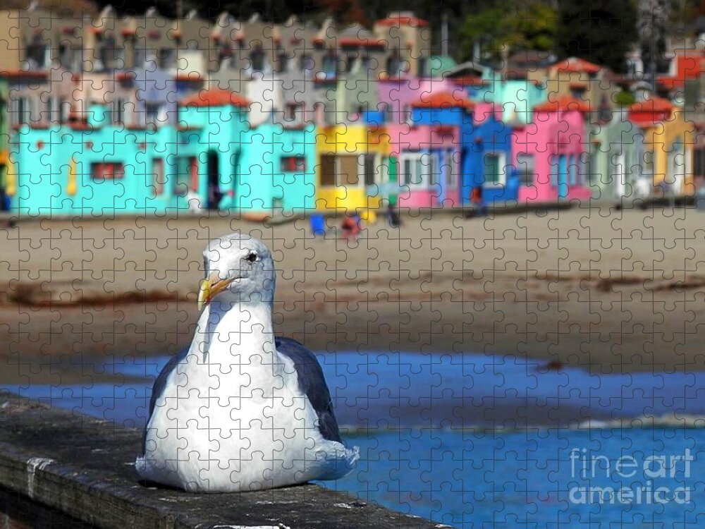 Capitola Jigsaw Puzzle featuring the photograph Capitola And The Seagull by Claudia Zahnd-Prezioso