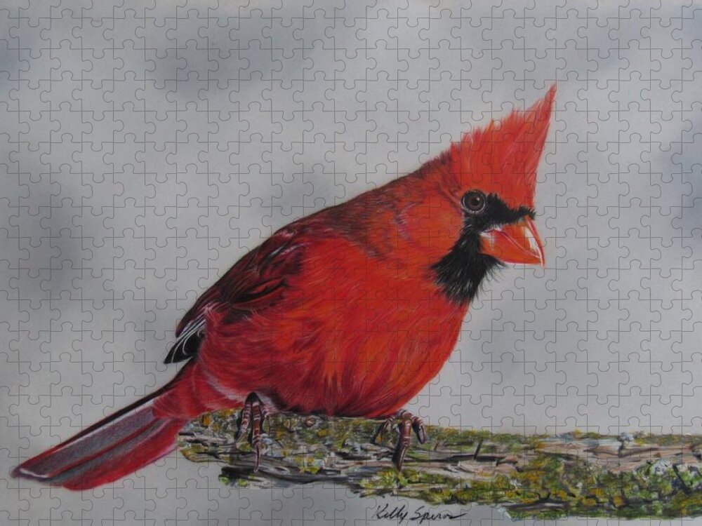 Bird Jigsaw Puzzle featuring the drawing Cardinal by Kelly Speros