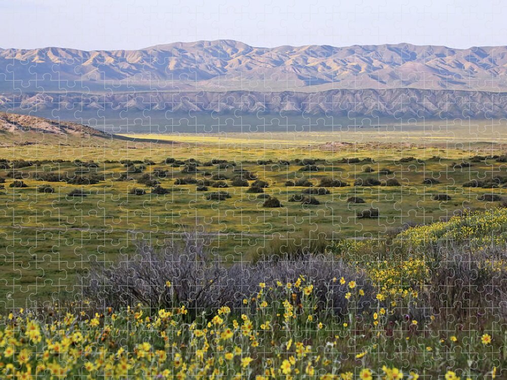  Jigsaw Puzzle featuring the photograph Carrizo Plain National Monument #1 by Carla Brennan