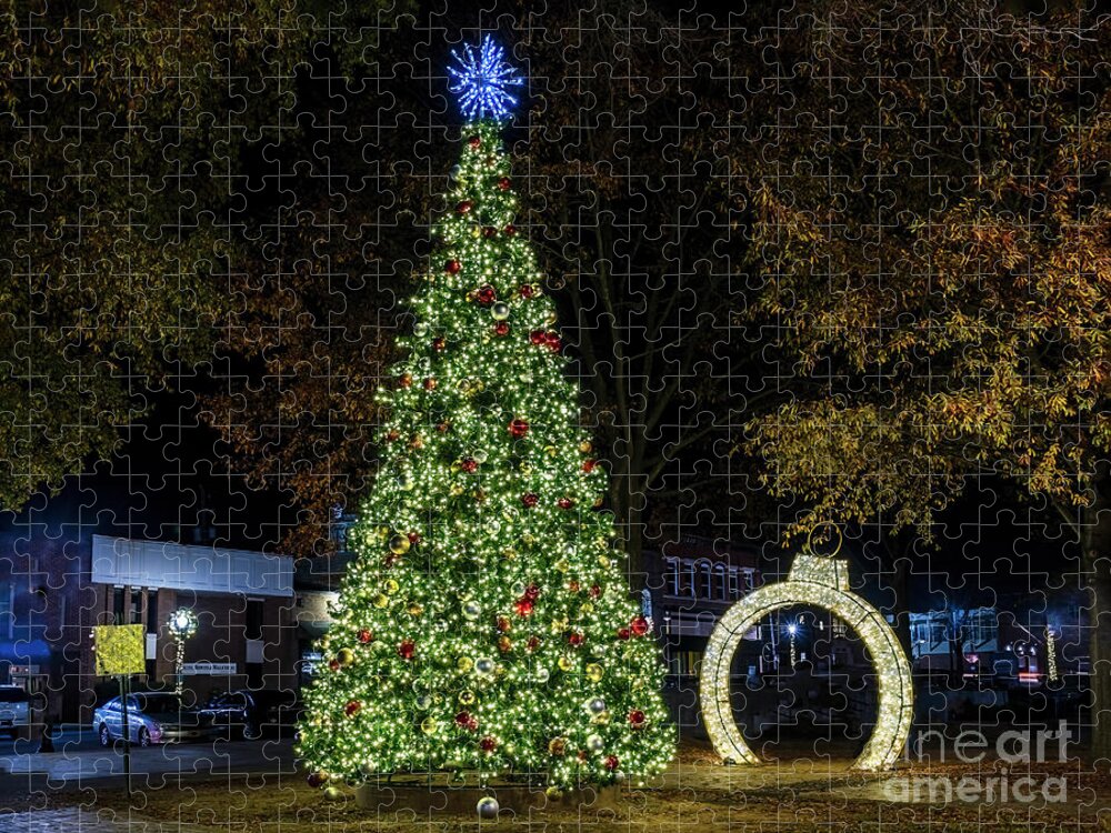 Cartersville Jigsaw Puzzle featuring the photograph Cartersville Christmas Tree by Nick Zelinsky Jr