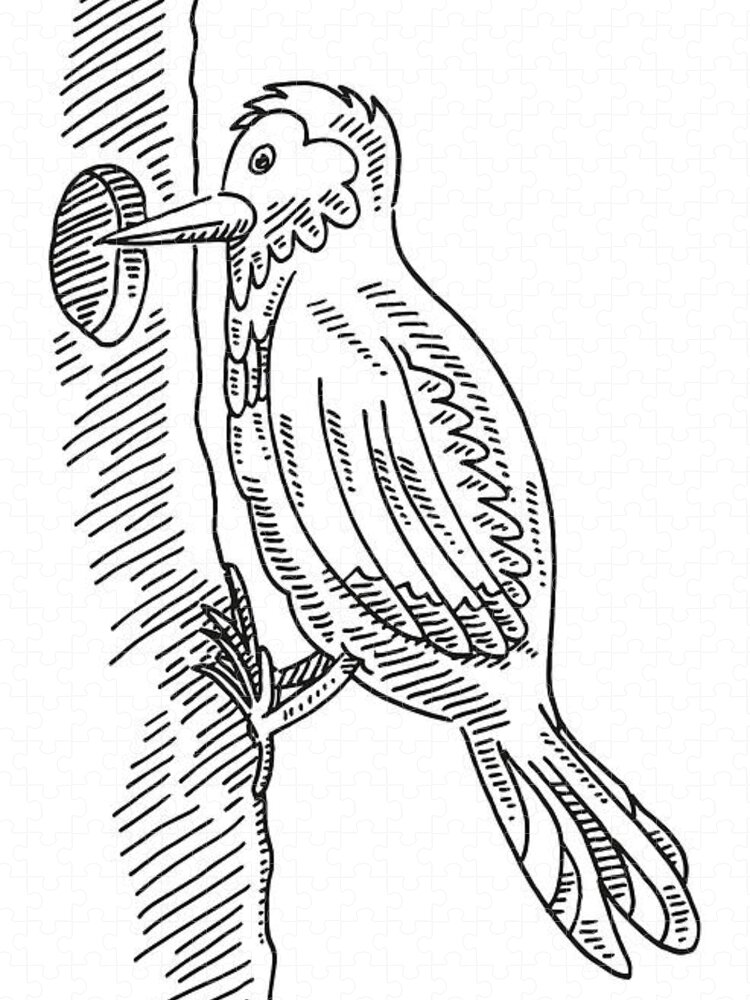 Original Charcoal Drawing Bird on Tree Branch Print of Black - Etsy