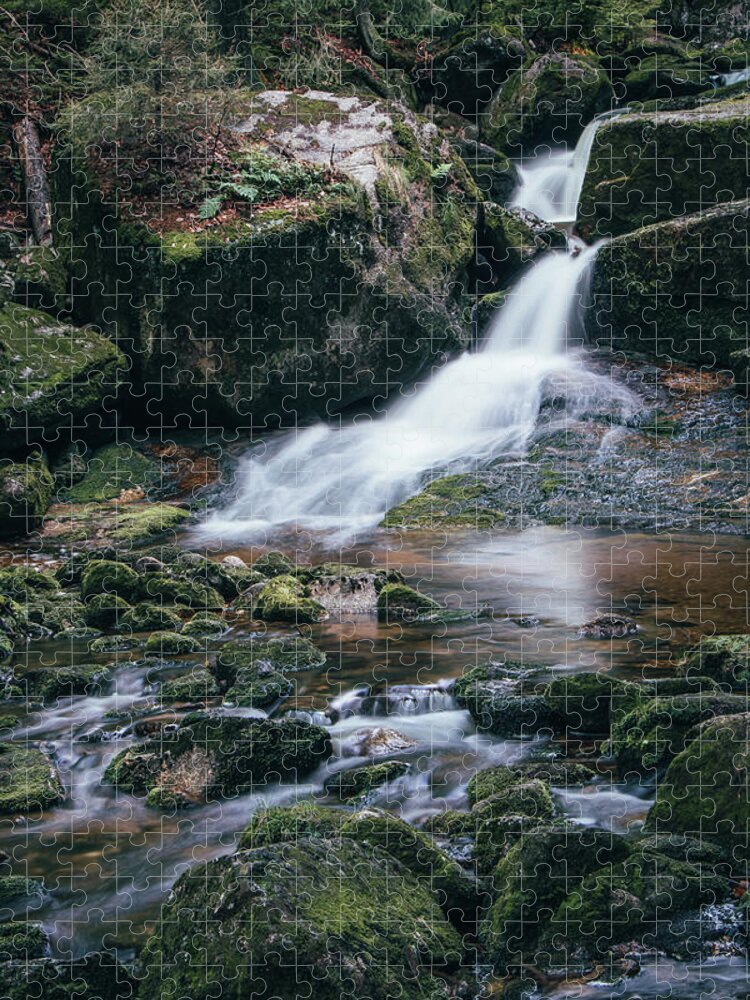 Jizera Mountains Jigsaw Puzzle featuring the photograph Huge treasures are hidden in the European wilderness. by Vaclav Sonnek