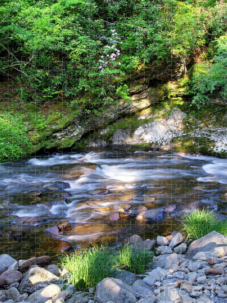 Smoky Mountains Jigsaw Puzzle featuring the photograph Cascades On Little River 5 by Phil Perkins