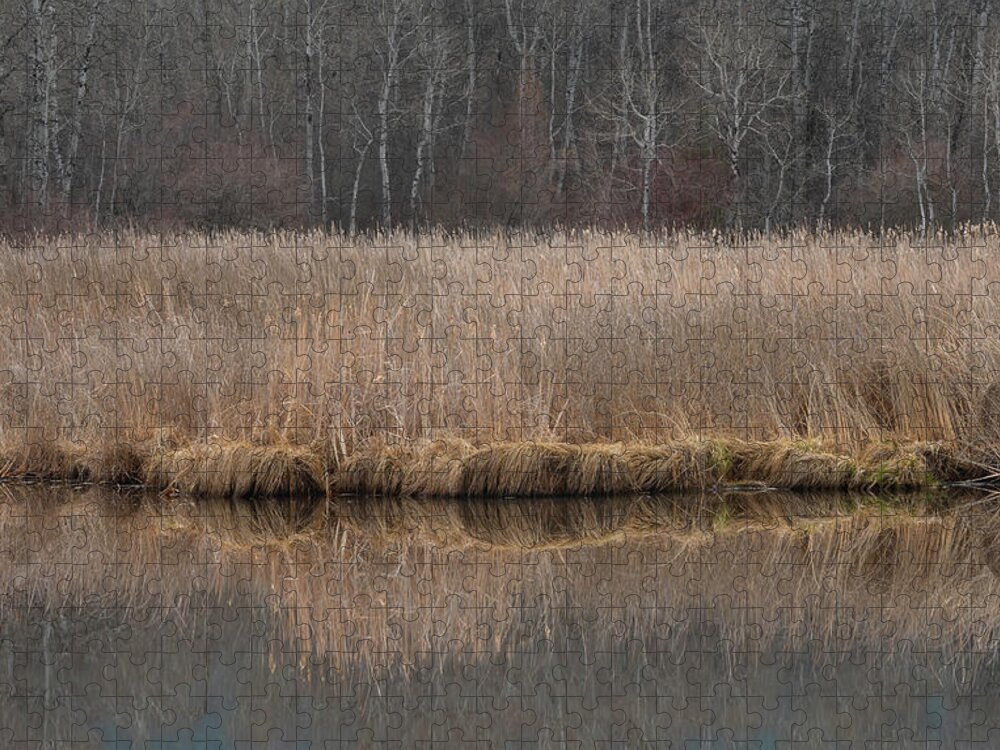 Wetlands Jigsaw Puzzle featuring the photograph CDpx_01274 by Clark Dunbar
