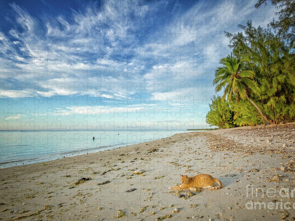 Cat Jigsaw Puzzle featuring the photograph CeCe the Beach Cat by Becqi Sherman