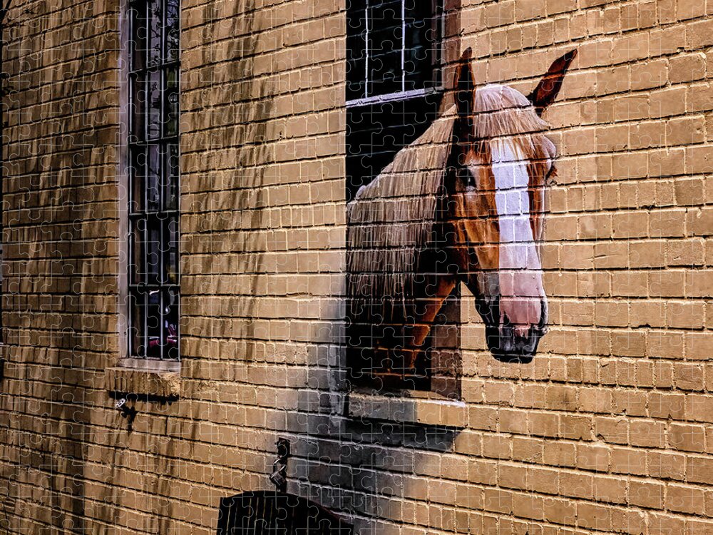 Marietta Georgia Jigsaw Puzzle featuring the photograph Charleston Horse Mural by Tom Singleton