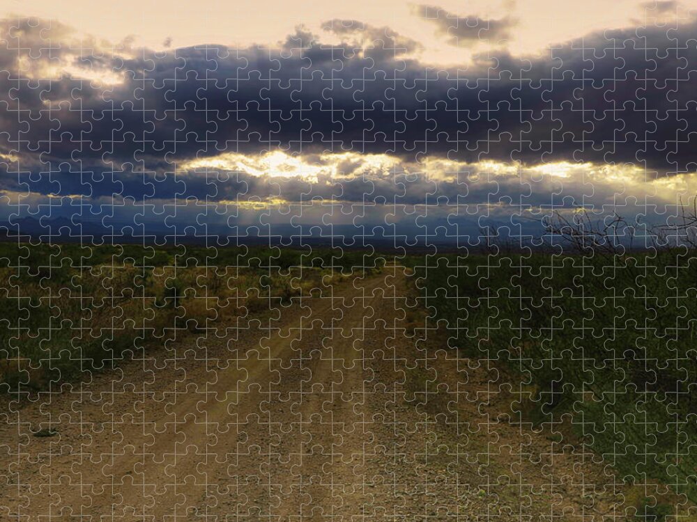 Arizona Jigsaw Puzzle featuring the photograph ChasingAngels by Danette Steele