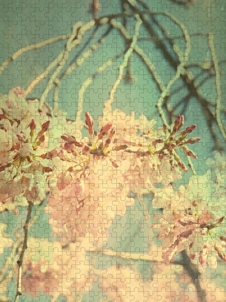 Cherry Blossoms Jigsaw Puzzle featuring the photograph Cherry Blossoms 2 - Washington D.C. by Marianna Mills
