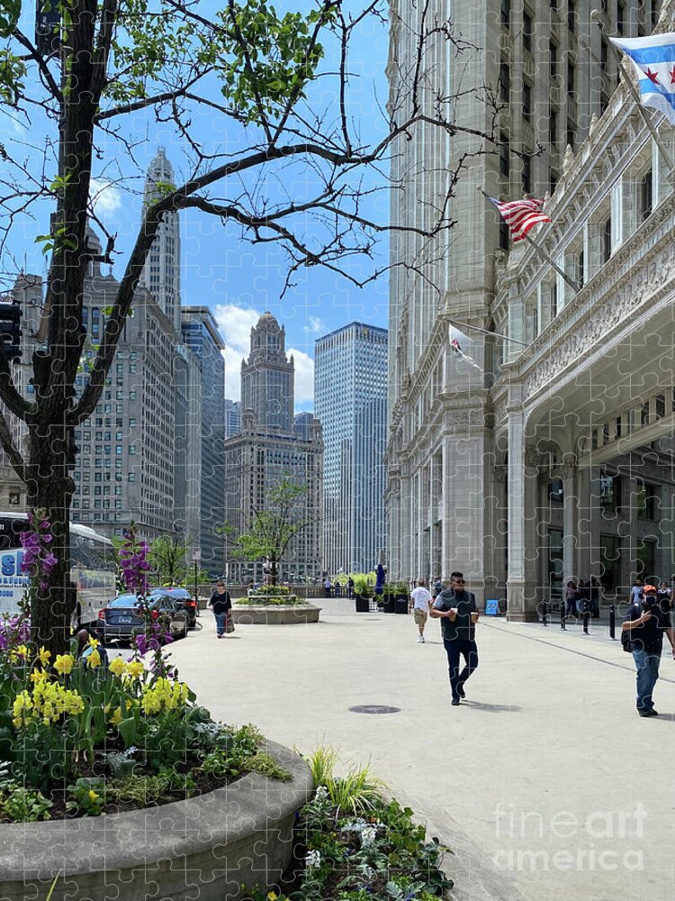 Chicago Jigsaw Puzzle featuring the photograph Chicago Riverwalk 16 by William Norton