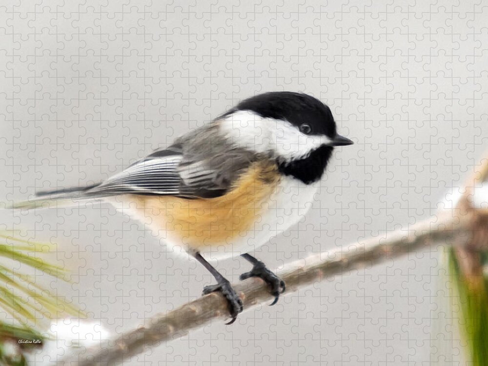 Chickadee Jigsaw Puzzle featuring the mixed media Chickadee Painting by Christina Rollo