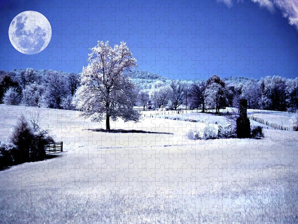 Infrared Jigsaw Puzzle featuring the pyrography Chimney in the Field by Anthony M Davis