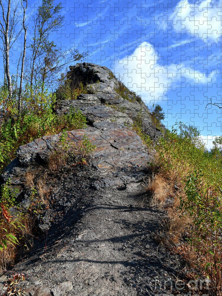 Chimney Tops Jigsaw Puzzle featuring the photograph Chimney Tops 17 by Phil Perkins