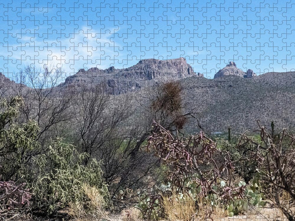 Cholla And Prickly Pear Below Mt Kimball Jigsaw Puzzle featuring the photograph Cholla And Prickly Pear Below Mt Kimball by Tom Cochran
