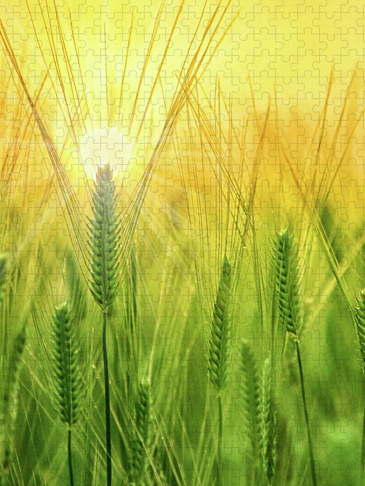 Encourage Jigsaw Puzzle featuring the digital art Chrisian Get Well I Pray Summer Wheat Field by Doreen Erhardt