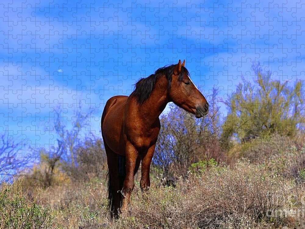 Salt River Wild Horse Jigsaw Puzzle featuring the digital art Chillin by Tammy Keyes