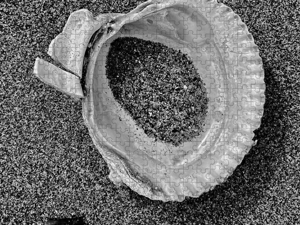Black And White Jigsaw Puzzle featuring the photograph Clam Shell - Sandy Beach bw by Jerry Abbott